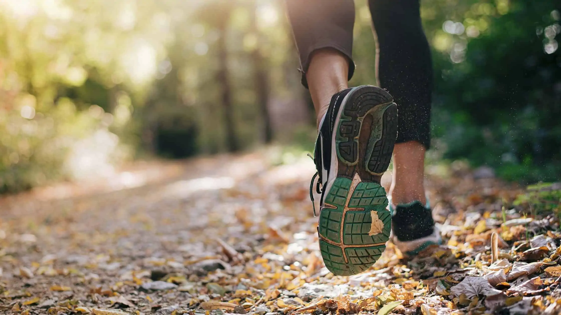 Bunert Beliebter Laden -Bunert Beliebter Laden 63