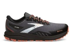 BROOKS Divide 4 GTX (Herren)