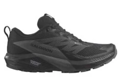 SALOMON Sense Ride 5 GTX (Herren)
